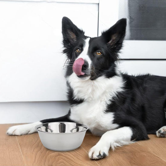 Gamelle Chien - Acier Inoxydable