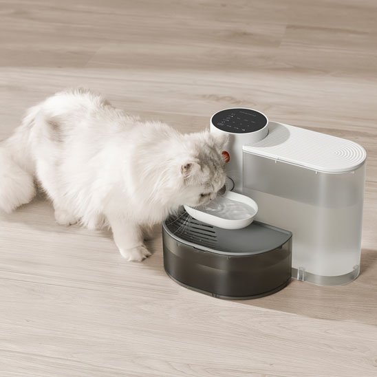 Fontaine Automatique pour Chat