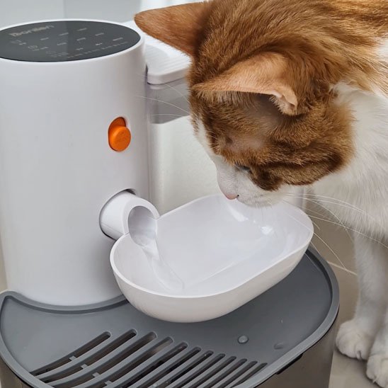 Fontaine Automatique pour Chat
