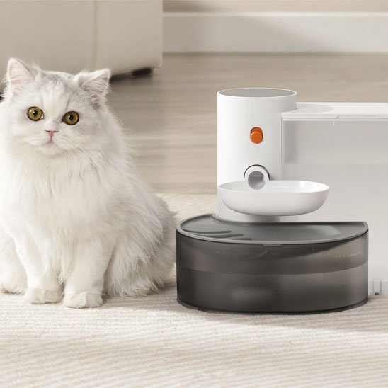 Fontaine Automatique pour Chat