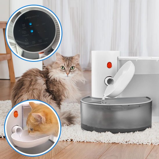 Fontaine Automatique pour Chat