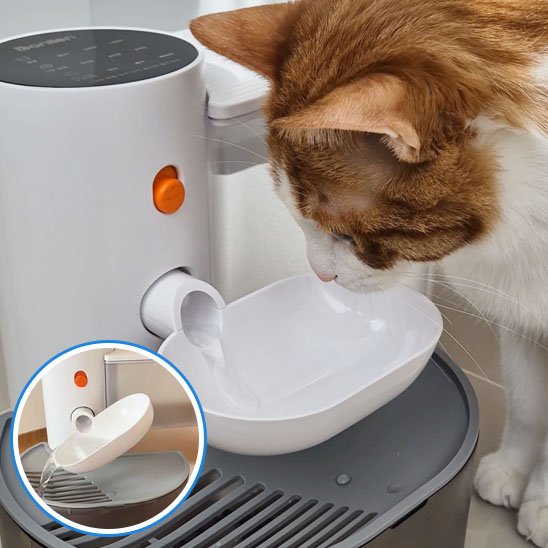 Fontaine Automatique pour Chat