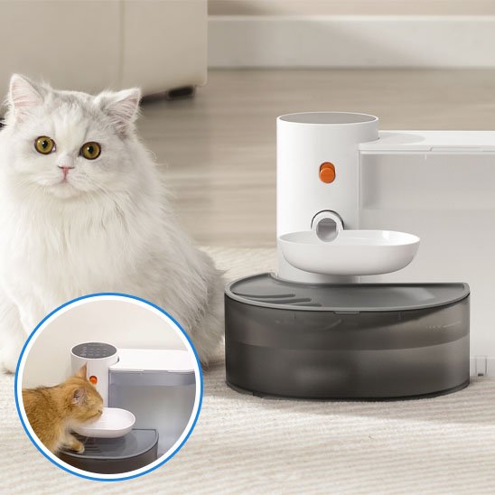 Fontaine Automatique pour Chat