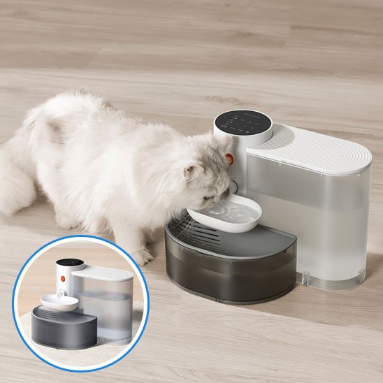 Fontaine Automatique pour Chat