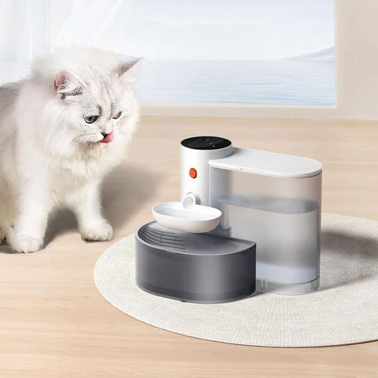 Fontaine Automatique pour Chat