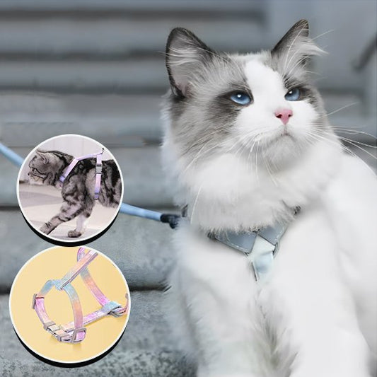 Harnais Chat - Flexi