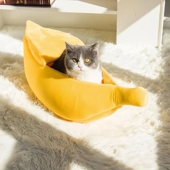 Panier pour chat | Banana™