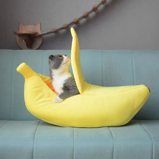 Panier pour chat | Banana™